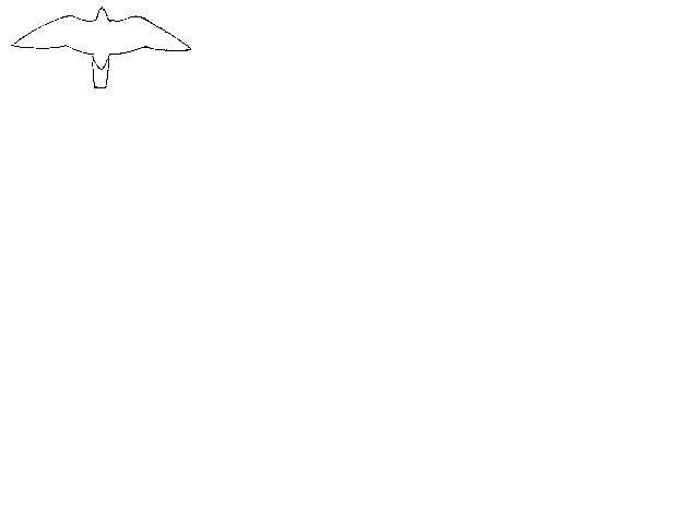 silhouette de faucon