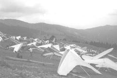 Coupe des clubs delta